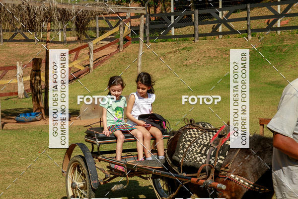 Buy your photos of the eventBeit Camp 2018 - 2 a 6 de julho - K3 a G5 on Fotop