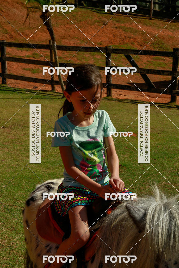 Buy your photos of the eventBeit Camp 2018 - 2 a 6 de julho - K3 a G5 on Fotop