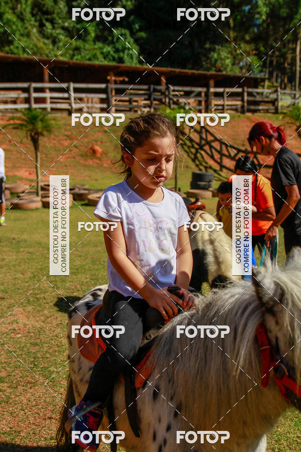 Buy your photos of the eventBeit Camp 2018 - 2 a 6 de julho - K3 a G5 on Fotop