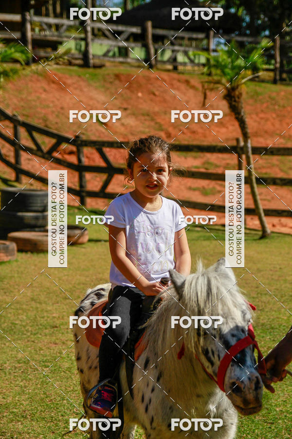 Buy your photos of the eventBeit Camp 2018 - 2 a 6 de julho - K3 a G5 on Fotop