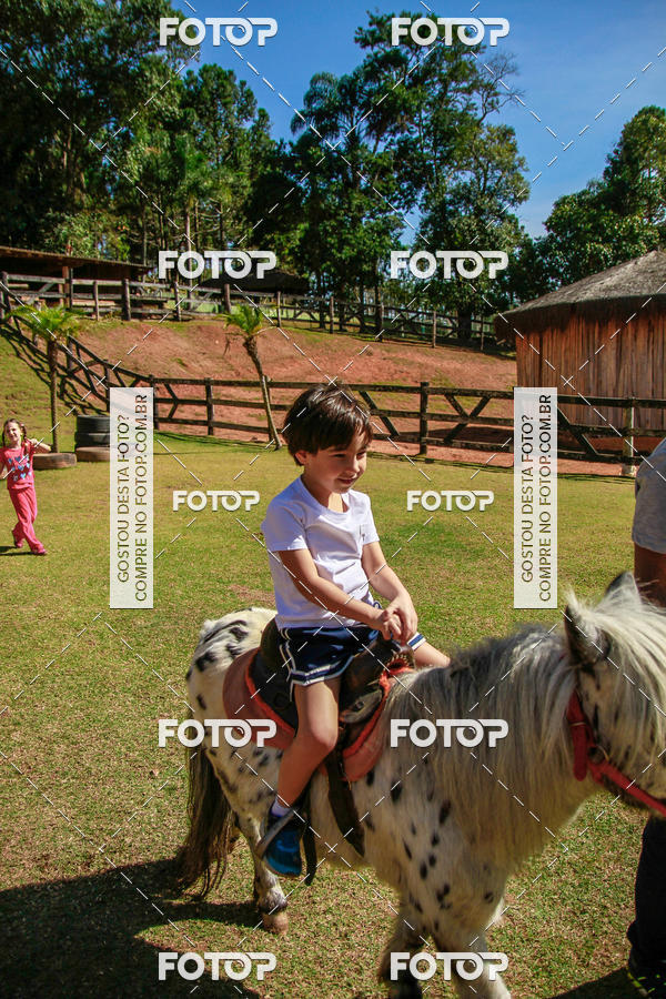 Buy your photos of the eventBeit Camp 2018 - 2 a 6 de julho - K3 a G5 on Fotop