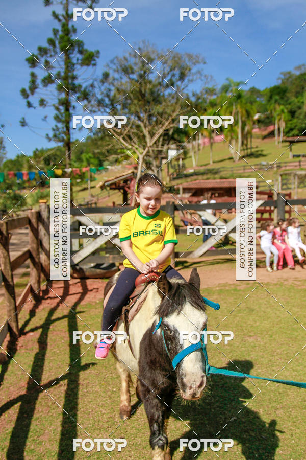Buy your photos of the eventBeit Camp 2018 - 2 a 6 de julho - K3 a G5 on Fotop