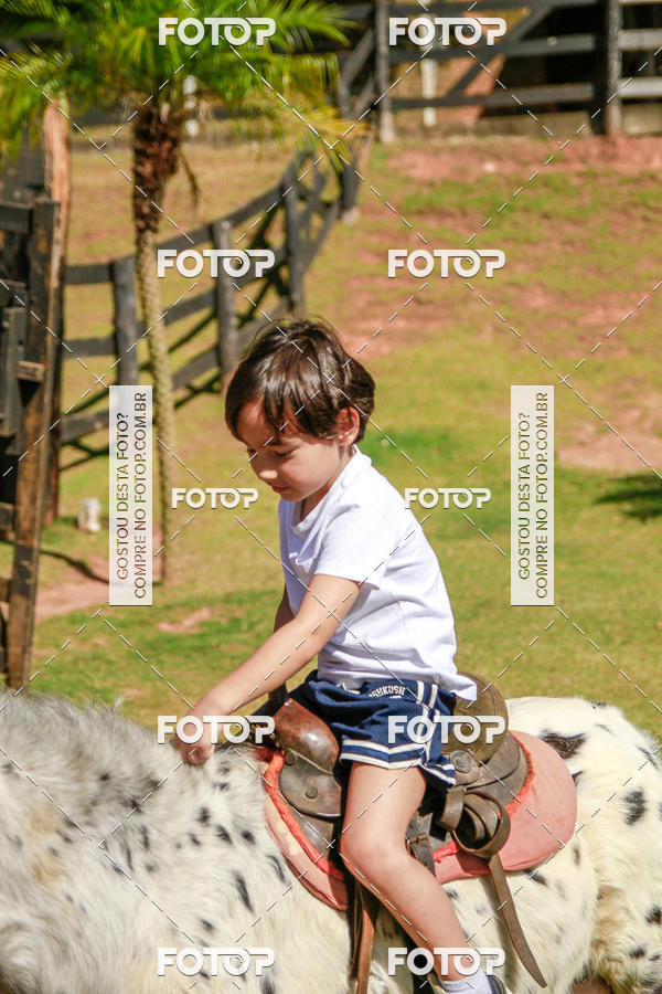 Buy your photos of the eventBeit Camp 2018 - 2 a 6 de julho - K3 a G5 on Fotop