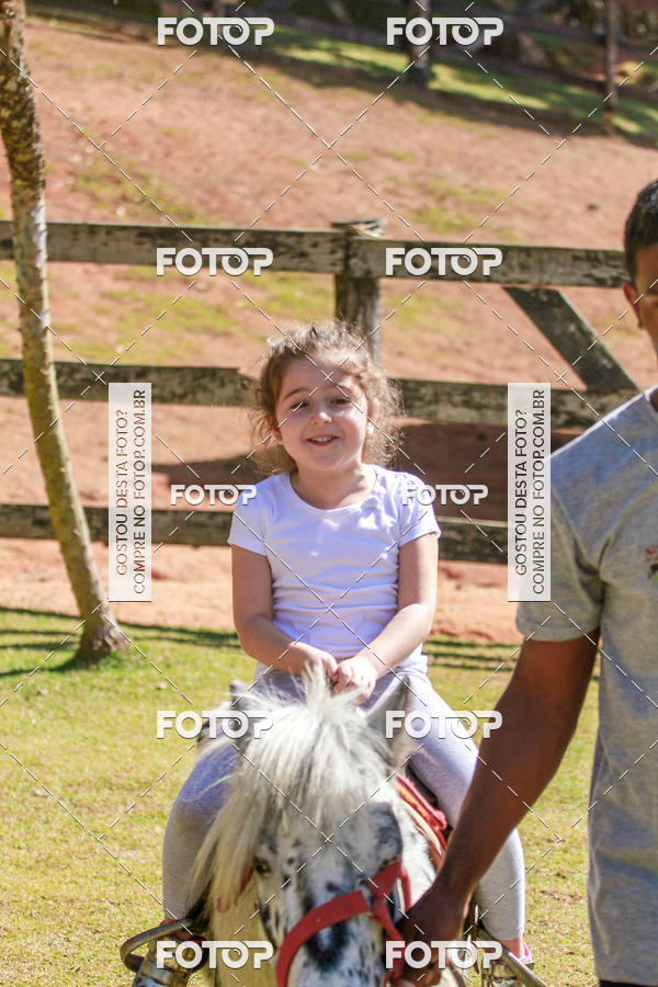 Buy your photos of the eventBeit Camp 2018 - 2 a 6 de julho - K3 a G5 on Fotop