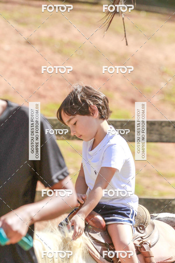 Buy your photos of the eventBeit Camp 2018 - 2 a 6 de julho - K3 a G5 on Fotop