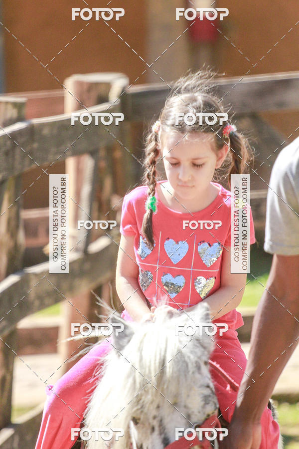 Buy your photos of the eventBeit Camp 2018 - 2 a 6 de julho - K3 a G5 on Fotop