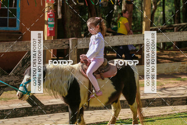 Buy your photos of the eventBeit Camp 2018 - 2 a 6 de julho - K3 a G5 on Fotop