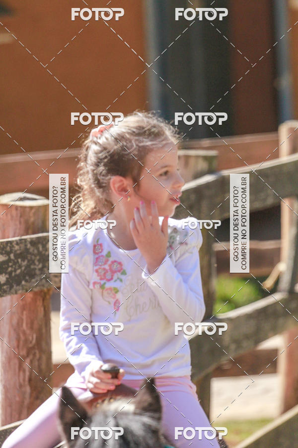 Buy your photos of the eventBeit Camp 2018 - 2 a 6 de julho - K3 a G5 on Fotop