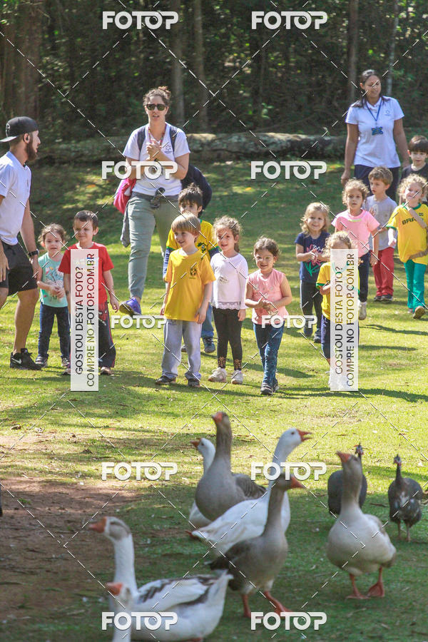 Buy your photos of the eventBeit Camp 2018 - 2 a 6 de julho - K3 a G5 on Fotop