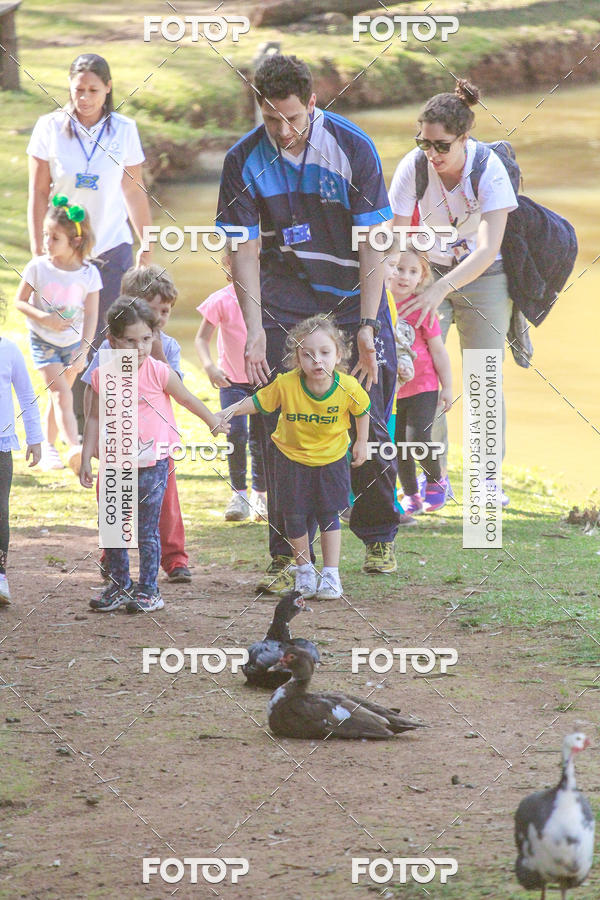 Buy your photos of the eventBeit Camp 2018 - 2 a 6 de julho - K3 a G5 on Fotop