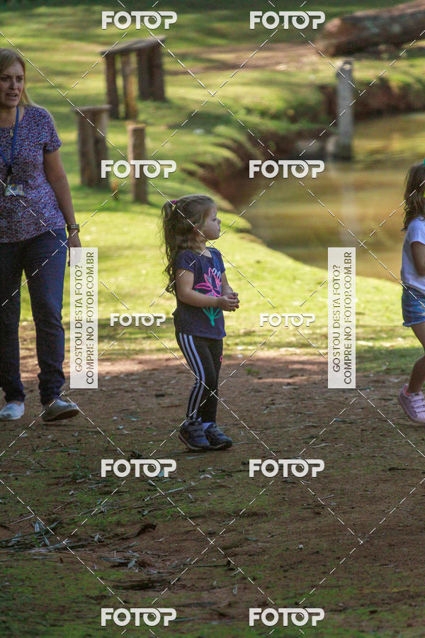 Buy your photos of the eventBeit Camp 2018 - 2 a 6 de julho - K3 a G5 on Fotop