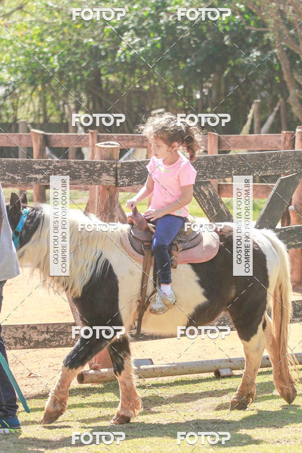 Buy your photos of the eventBeit Camp 2018 - 2 a 6 de julho - K3 a G5 on Fotop