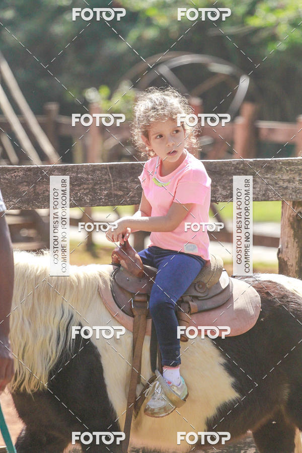 Buy your photos of the eventBeit Camp 2018 - 2 a 6 de julho - K3 a G5 on Fotop