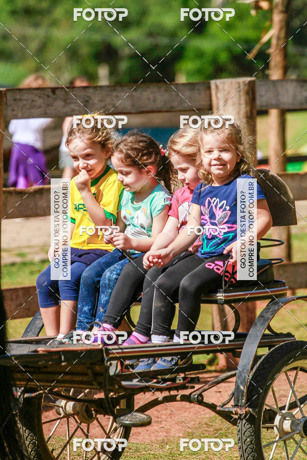 Buy your photos of the eventBeit Camp 2018 - 2 a 6 de julho - K3 a G5 on Fotop