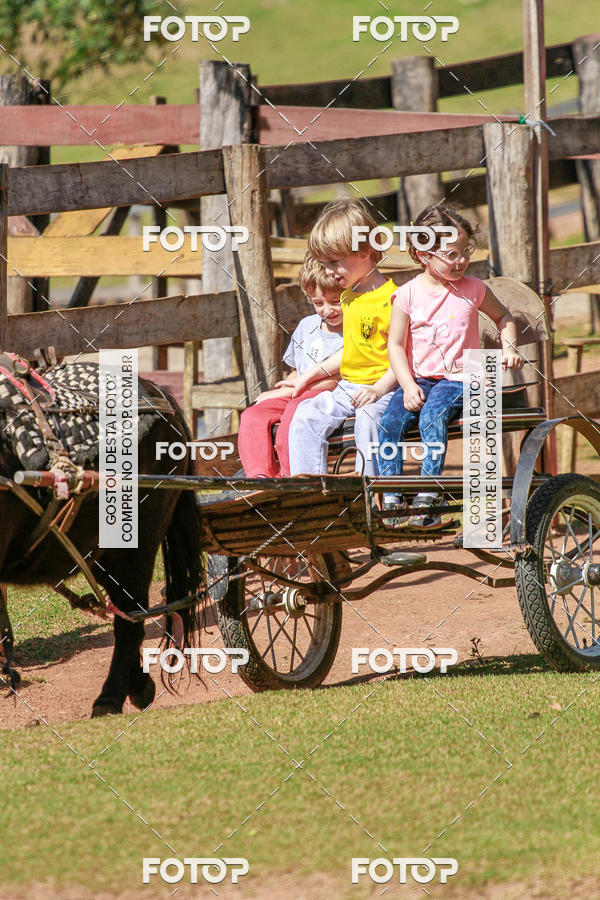 Buy your photos of the eventBeit Camp 2018 - 2 a 6 de julho - K3 a G5 on Fotop