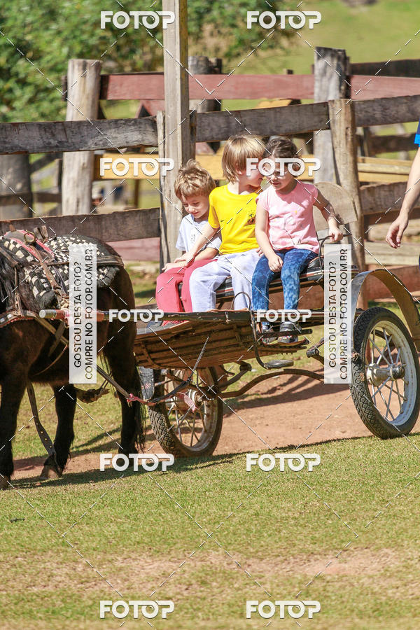 Buy your photos of the eventBeit Camp 2018 - 2 a 6 de julho - K3 a G5 on Fotop