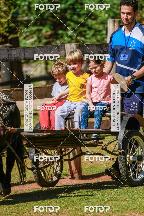 Buy your photos of the eventBeit Camp 2018 - 2 a 6 de julho - K3 a G5 on Fotop