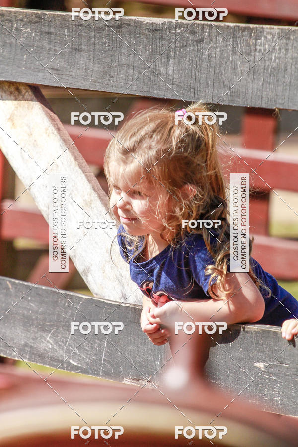 Buy your photos of the eventBeit Camp 2018 - 2 a 6 de julho - K3 a G5 on Fotop