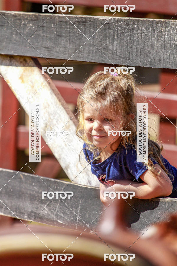 Buy your photos of the eventBeit Camp 2018 - 2 a 6 de julho - K3 a G5 on Fotop