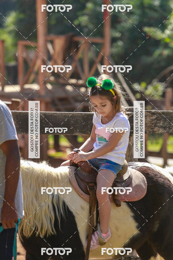 Buy your photos of the eventBeit Camp 2018 - 2 a 6 de julho - K3 a G5 on Fotop