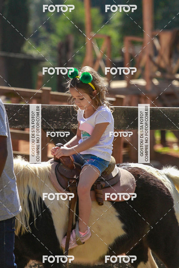 Buy your photos of the eventBeit Camp 2018 - 2 a 6 de julho - K3 a G5 on Fotop