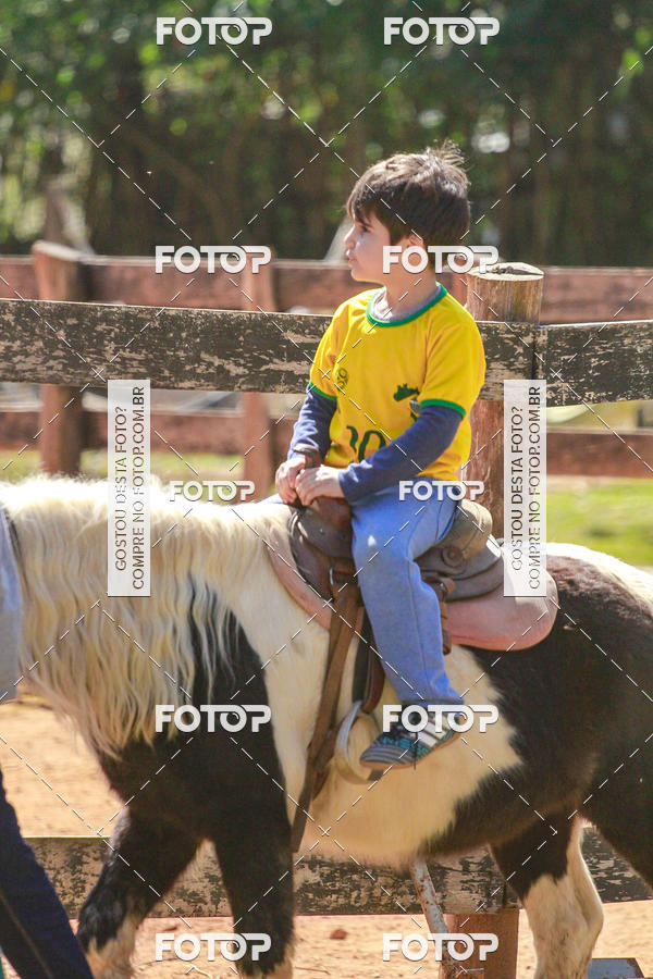 Buy your photos of the eventBeit Camp 2018 - 2 a 6 de julho - K3 a G5 on Fotop