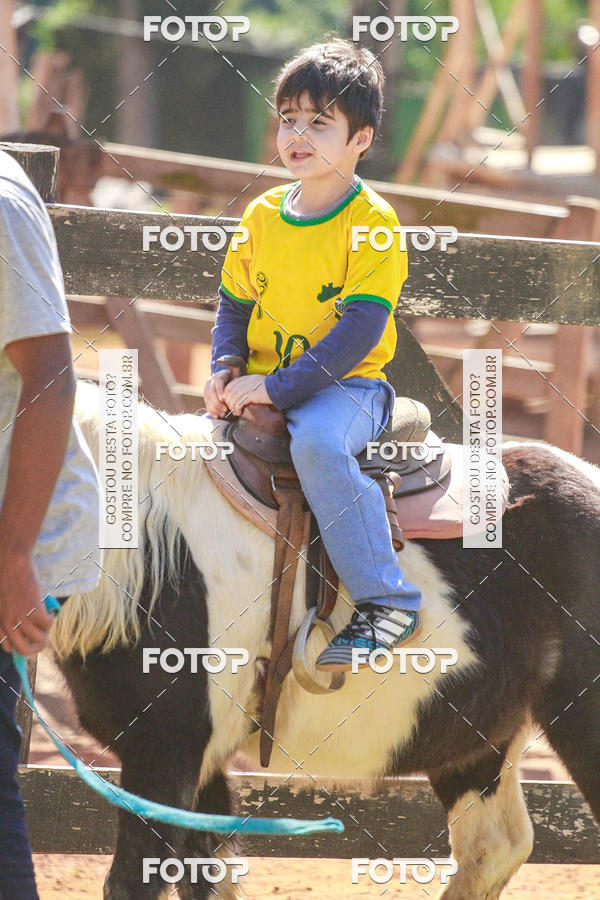 Buy your photos of the eventBeit Camp 2018 - 2 a 6 de julho - K3 a G5 on Fotop