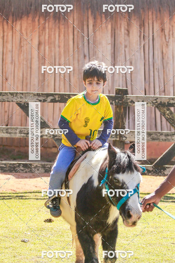 Buy your photos of the eventBeit Camp 2018 - 2 a 6 de julho - K3 a G5 on Fotop