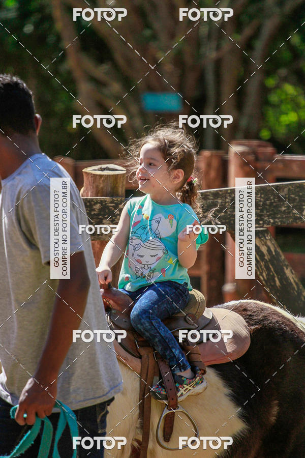 Buy your photos of the eventBeit Camp 2018 - 2 a 6 de julho - K3 a G5 on Fotop