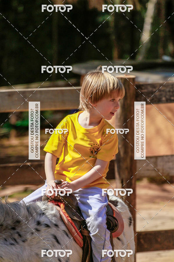 Buy your photos of the eventBeit Camp 2018 - 2 a 6 de julho - K3 a G5 on Fotop