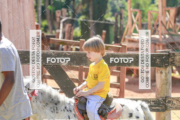 Buy your photos of the eventBeit Camp 2018 - 2 a 6 de julho - K3 a G5 on Fotop