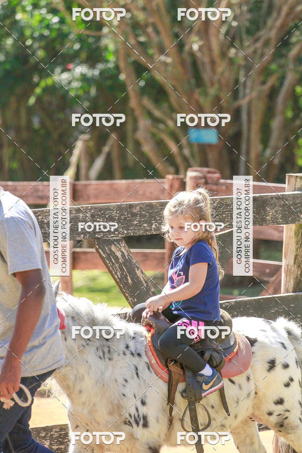 Buy your photos of the eventBeit Camp 2018 - 2 a 6 de julho - K3 a G5 on Fotop