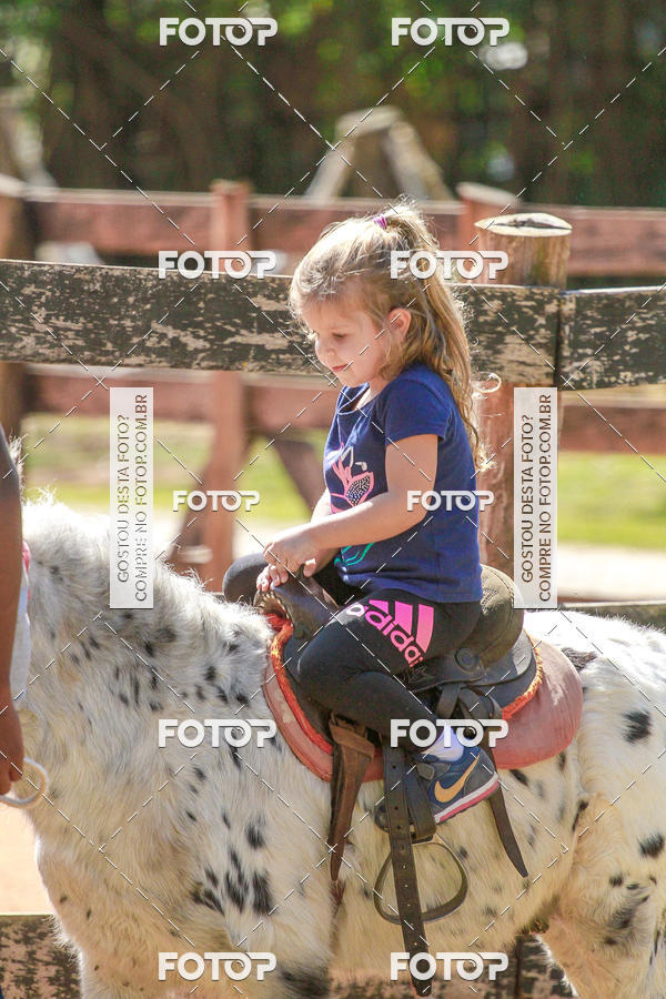 Buy your photos of the eventBeit Camp 2018 - 2 a 6 de julho - K3 a G5 on Fotop