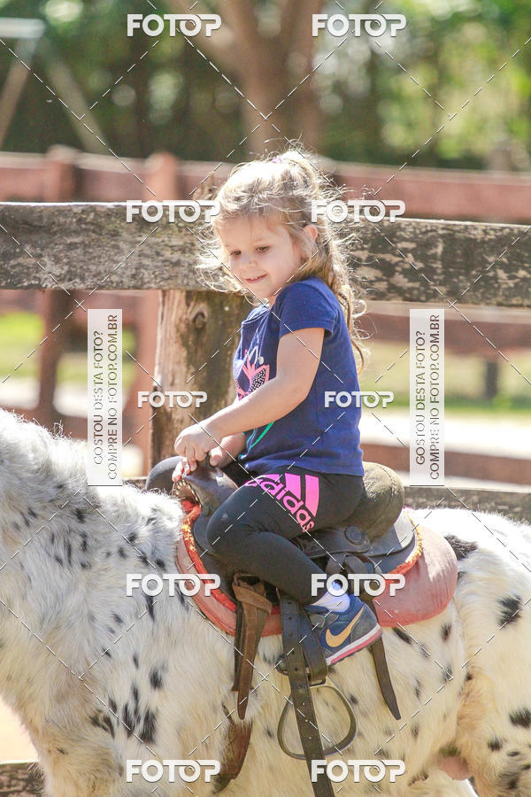 Buy your photos of the eventBeit Camp 2018 - 2 a 6 de julho - K3 a G5 on Fotop