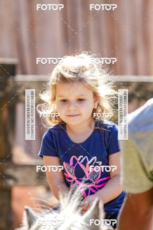 Buy your photos of the eventBeit Camp 2018 - 2 a 6 de julho - K3 a G5 on Fotop