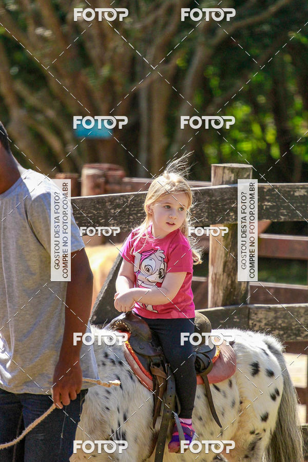 Buy your photos of the eventBeit Camp 2018 - 2 a 6 de julho - K3 a G5 on Fotop