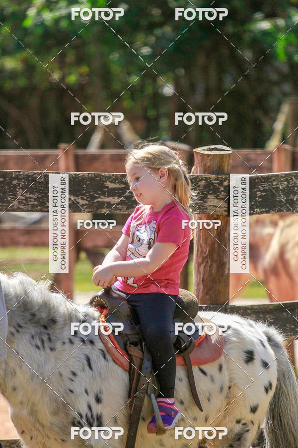 Buy your photos of the eventBeit Camp 2018 - 2 a 6 de julho - K3 a G5 on Fotop