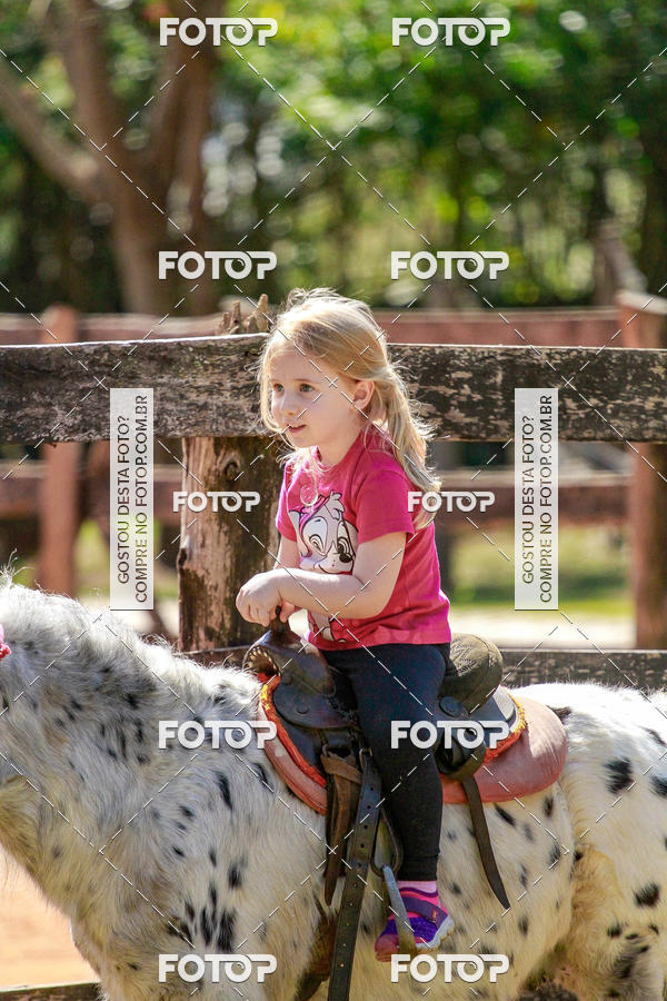 Buy your photos of the eventBeit Camp 2018 - 2 a 6 de julho - K3 a G5 on Fotop