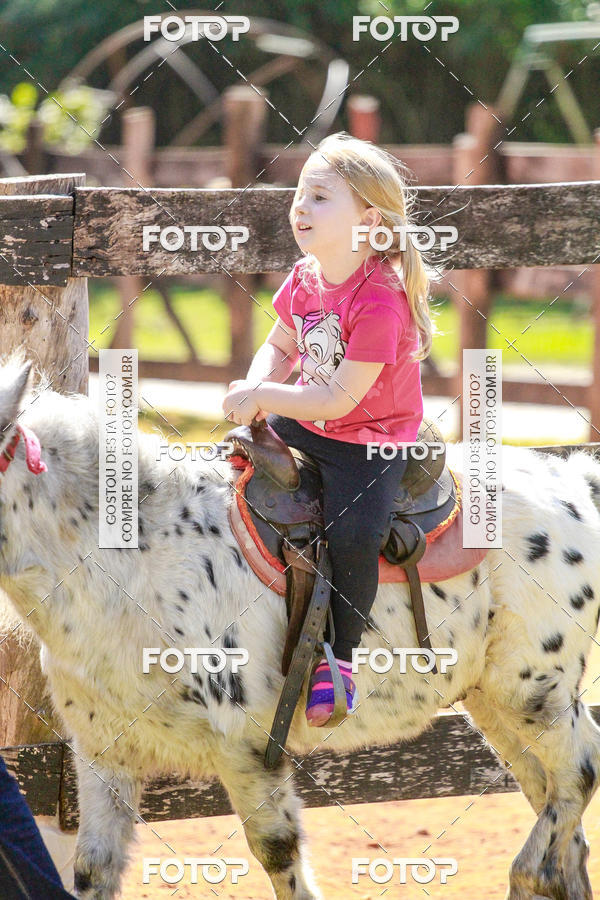 Buy your photos of the eventBeit Camp 2018 - 2 a 6 de julho - K3 a G5 on Fotop