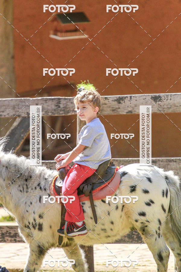 Buy your photos of the eventBeit Camp 2018 - 2 a 6 de julho - K3 a G5 on Fotop