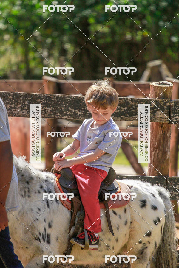 Buy your photos of the eventBeit Camp 2018 - 2 a 6 de julho - K3 a G5 on Fotop