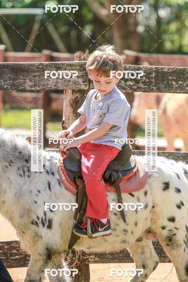 Buy your photos of the eventBeit Camp 2018 - 2 a 6 de julho - K3 a G5 on Fotop