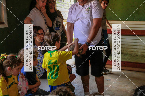 Buy your photos of the eventBeit Camp 2018 - 2 a 6 de julho - K3 a G5 on Fotop