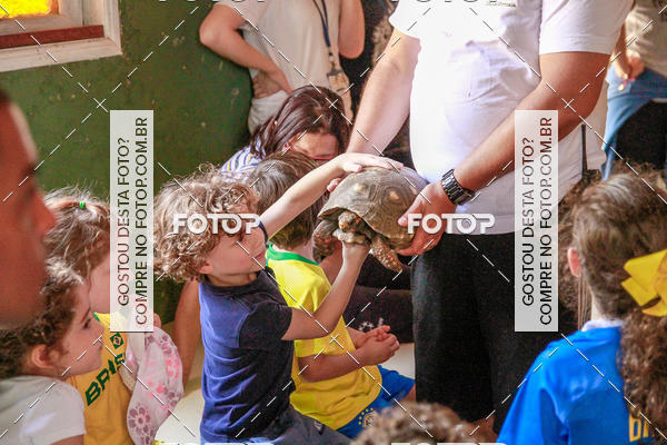 Buy your photos of the eventBeit Camp 2018 - 2 a 6 de julho - K3 a G5 on Fotop