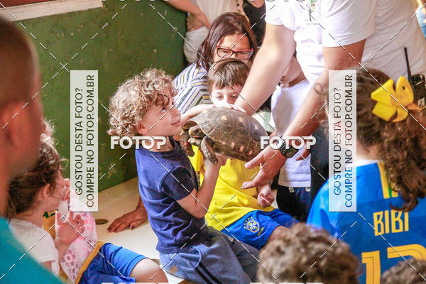 Buy your photos of the eventBeit Camp 2018 - 2 a 6 de julho - K3 a G5 on Fotop