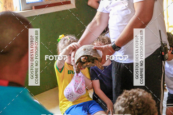 Buy your photos of the eventBeit Camp 2018 - 2 a 6 de julho - K3 a G5 on Fotop