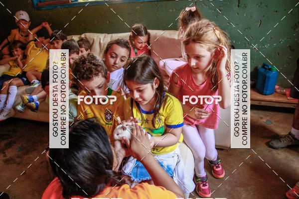 Buy your photos of the eventBeit Camp 2018 - 2 a 6 de julho - K3 a G5 on Fotop