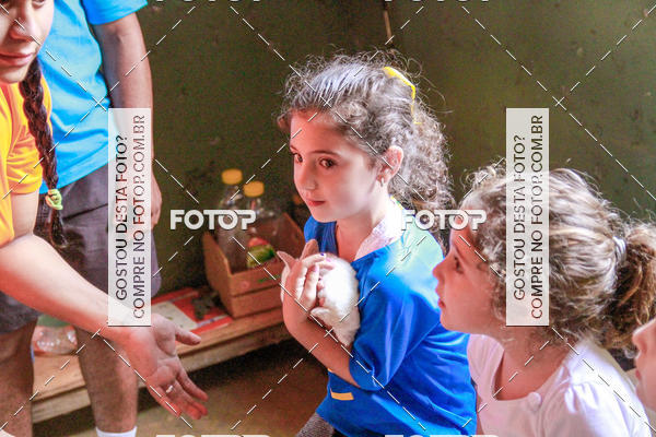 Buy your photos of the eventBeit Camp 2018 - 2 a 6 de julho - K3 a G5 on Fotop