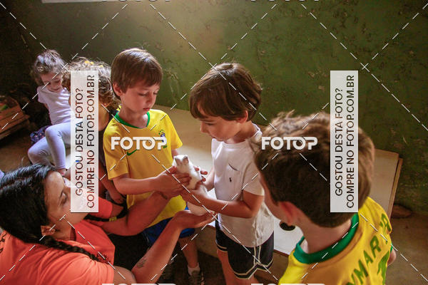 Buy your photos of the eventBeit Camp 2018 - 2 a 6 de julho - K3 a G5 on Fotop