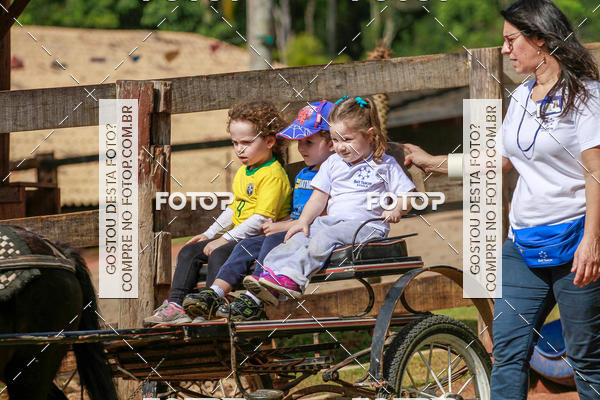 Buy your photos of the eventBeit Camp 2018 - 2 a 6 de julho - K3 a G5 on Fotop